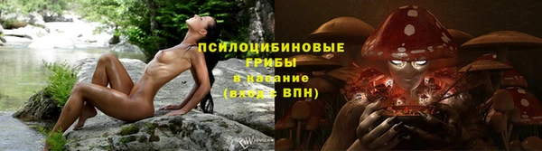 PSILOCYBIN Волоколамск