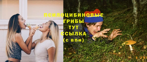 хмурый Горно-Алтайск